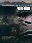 刚果惊魂