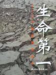 生命第一·5.12大地震现场纪实