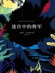 迷宫中的将军