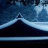 覆雪