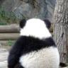 不胖不忧郁