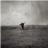 有一天...