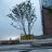 德国女青